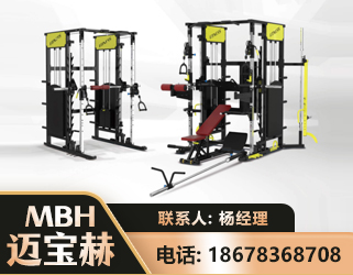 萍乡多功能综合训练器